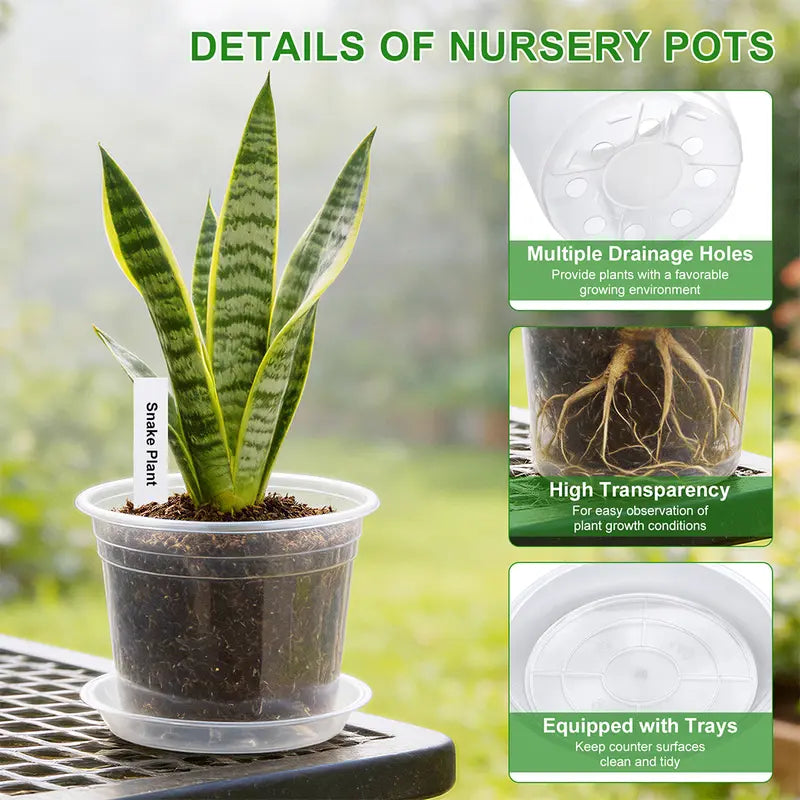 Zalovvi Nursery Clear Pots for Plants with Drainage Holes, 5/6/7/10 Inch Plant Pots for Planting,Matching Saucers & Plant Labels