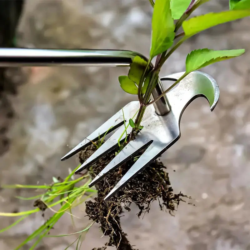 Garden Weeding Tool Kit,Beech Wood Handle Crack Crevice Weeder,Durable Lightweight Garden Maintenance Tool for Lawn, Patio, Paving Moss Removal
